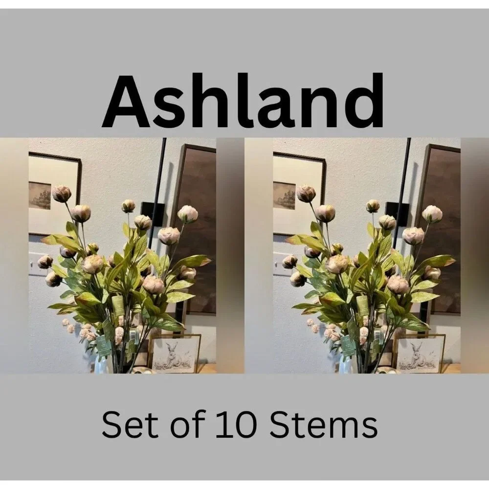 Set of 10 Tan Viral Michael’s Peony Stems by Ashland - Picture 2 of 3